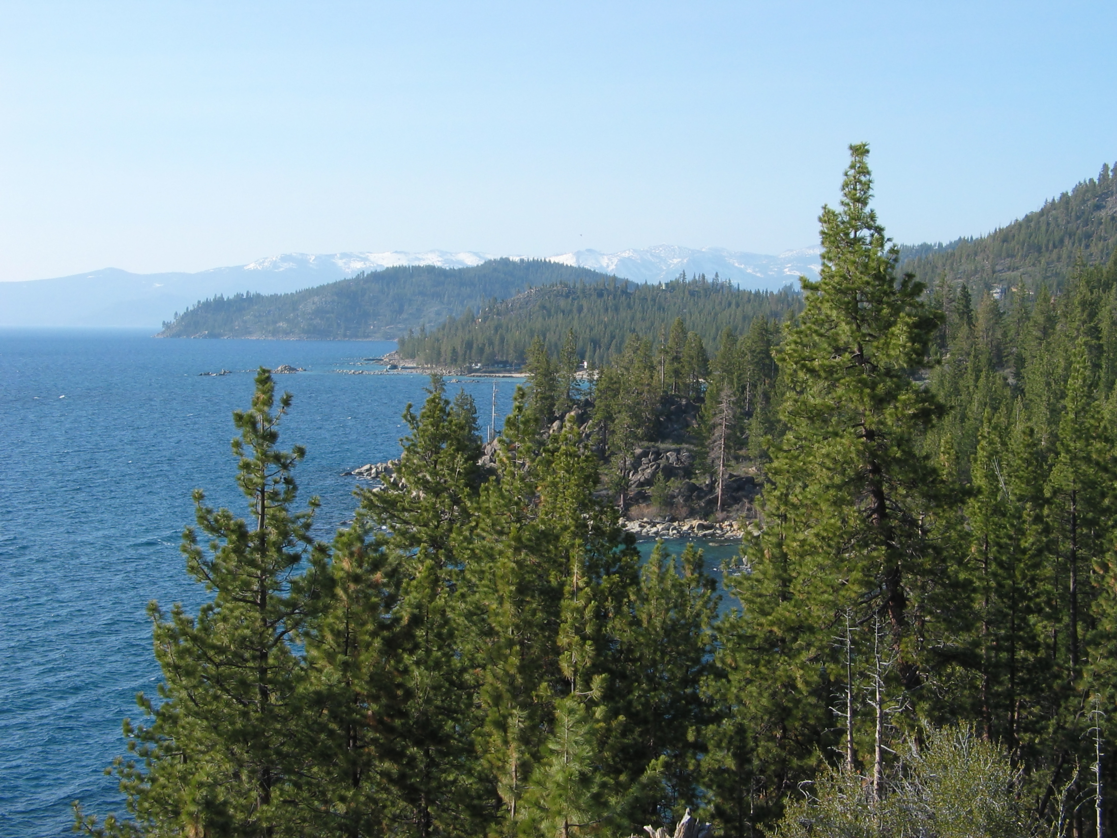 #105_Looking North