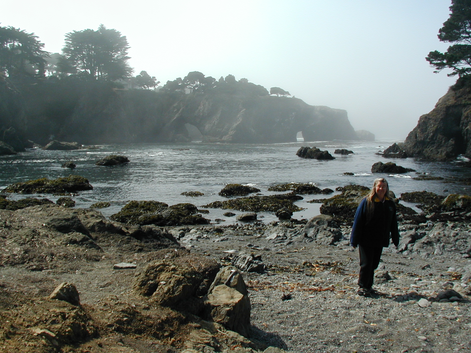 #106_Buckhorn Cove, south of trail