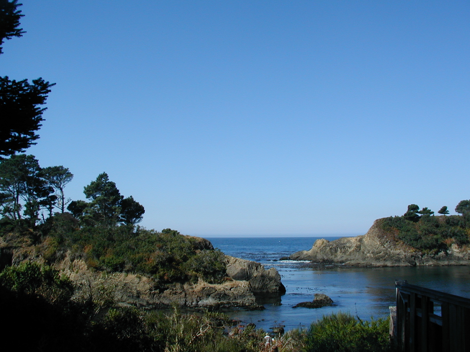 #114_Morning view from trail