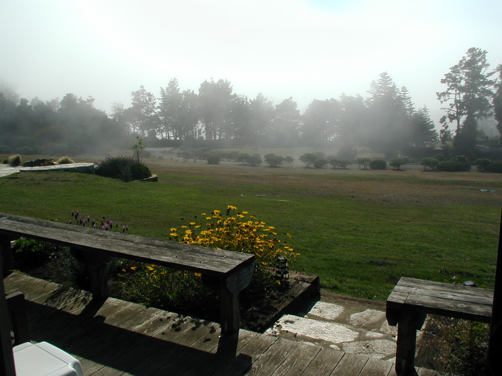 #116_Clearing mist