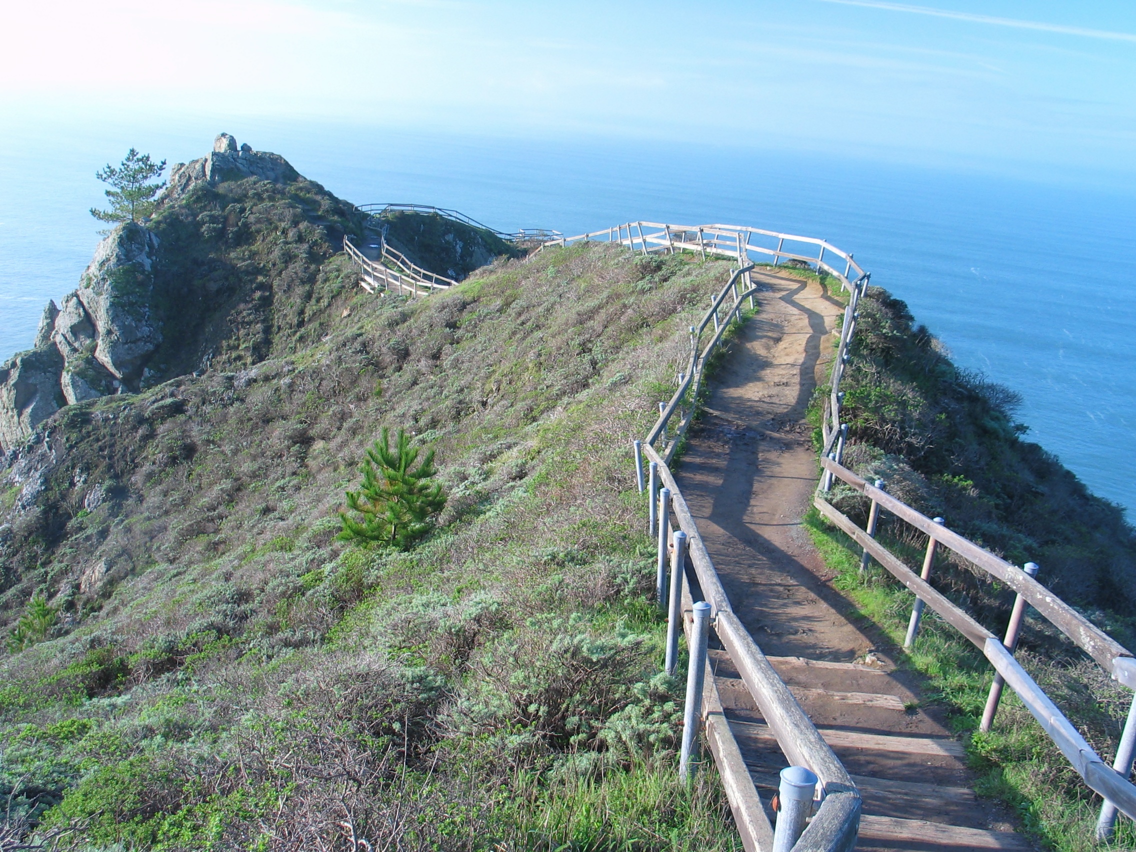 SeaEscape, January 2003
