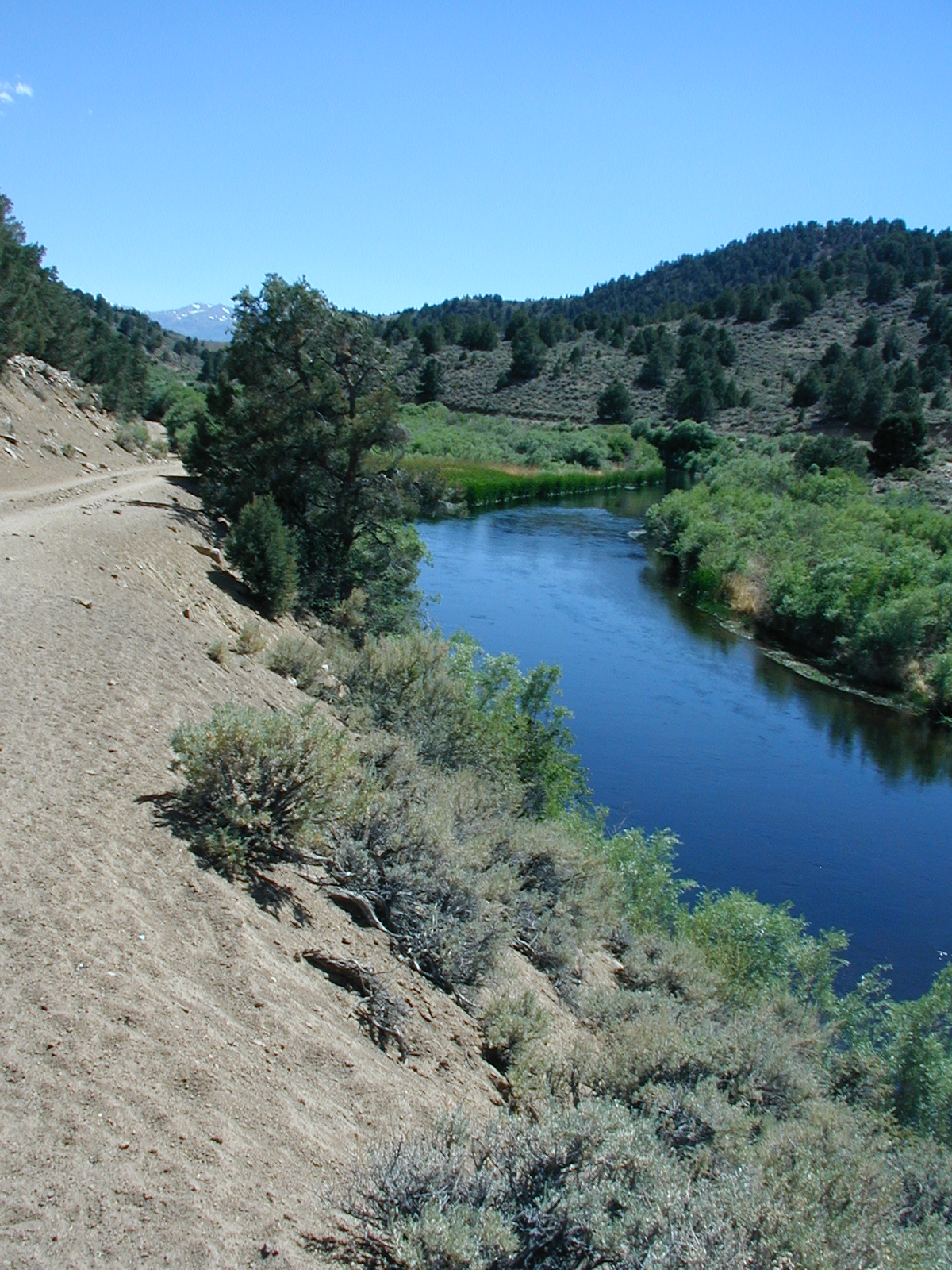 Twin Lakes, July 2002