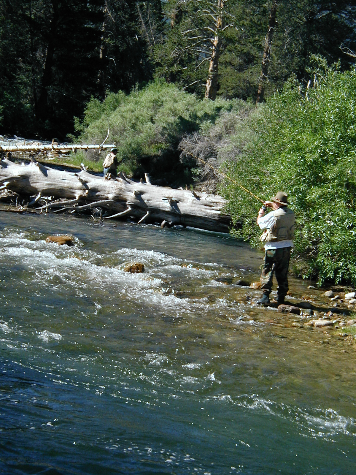 #117_Fisherman 3