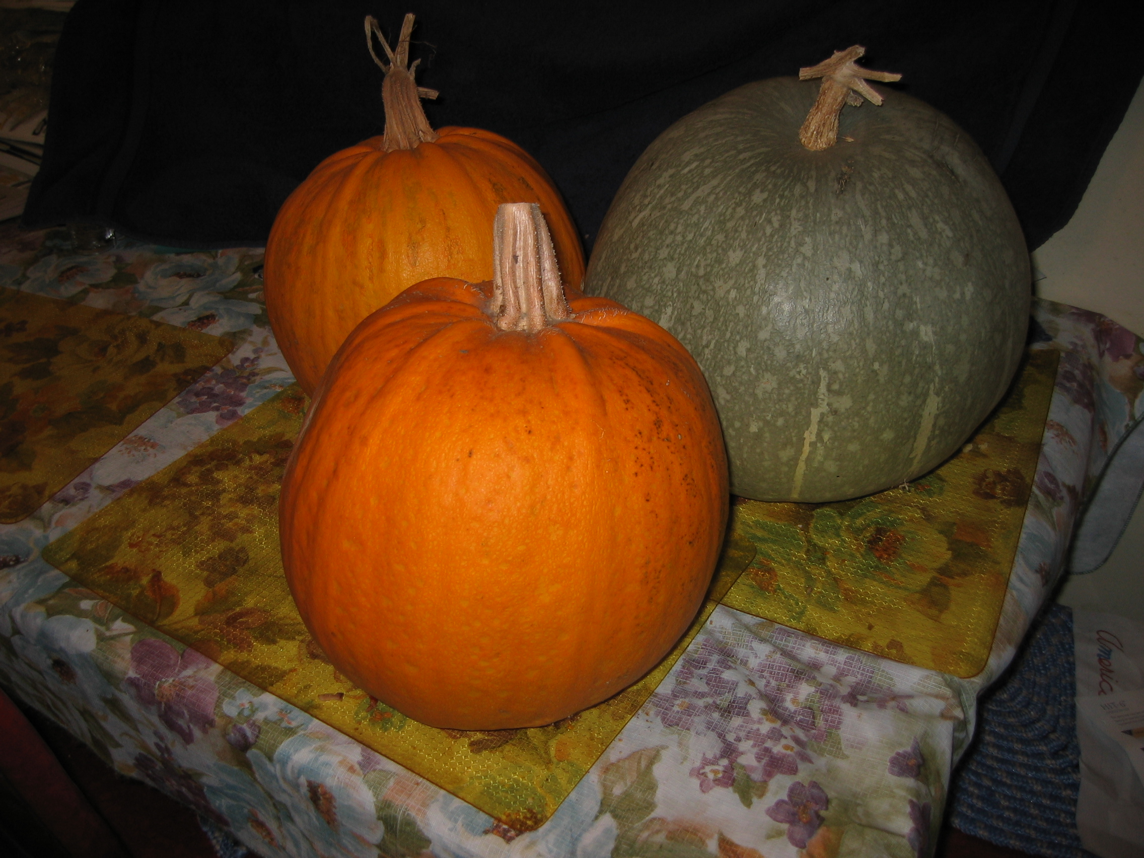 IMG_0034