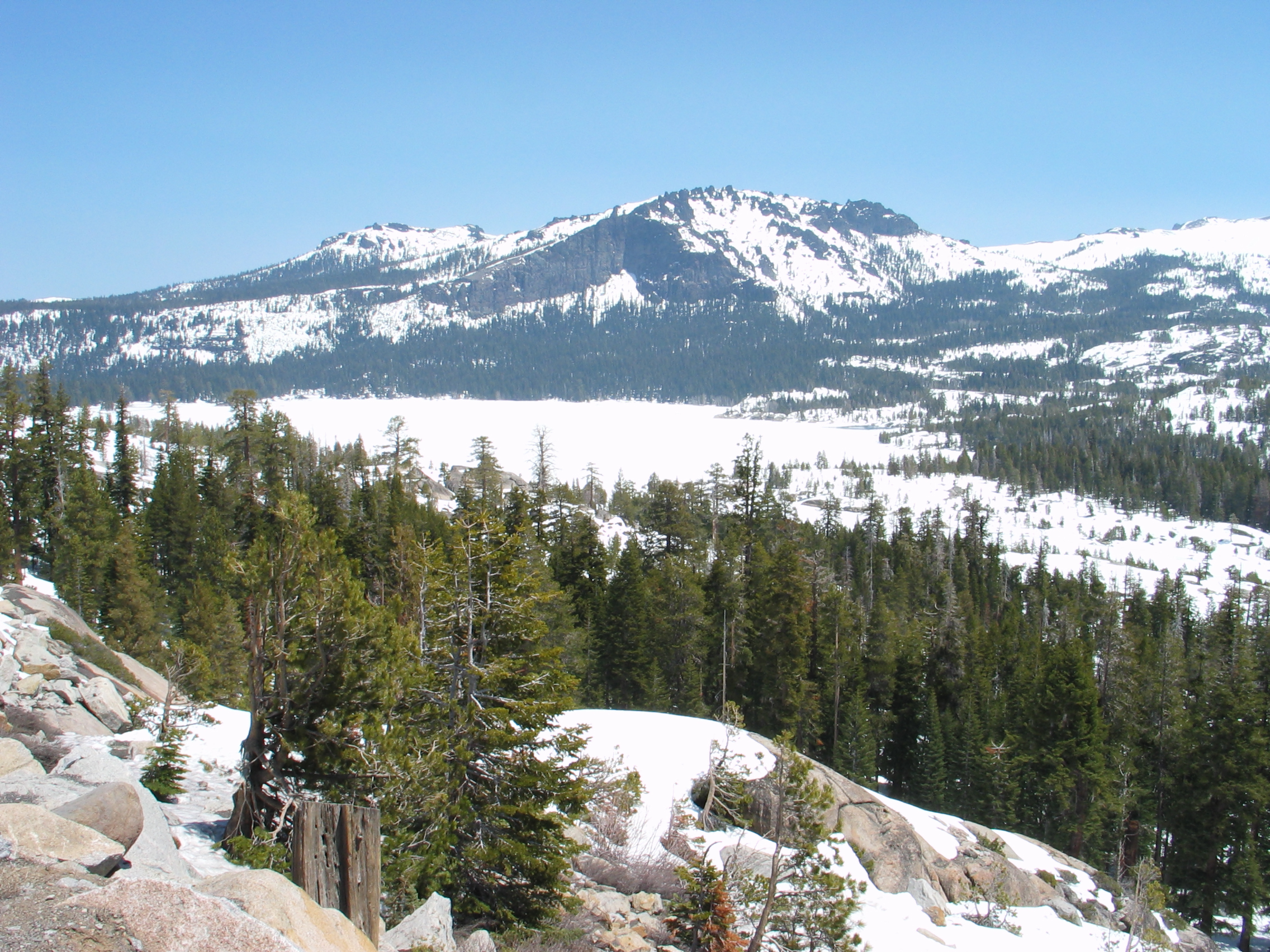 #102_Sierra Snow