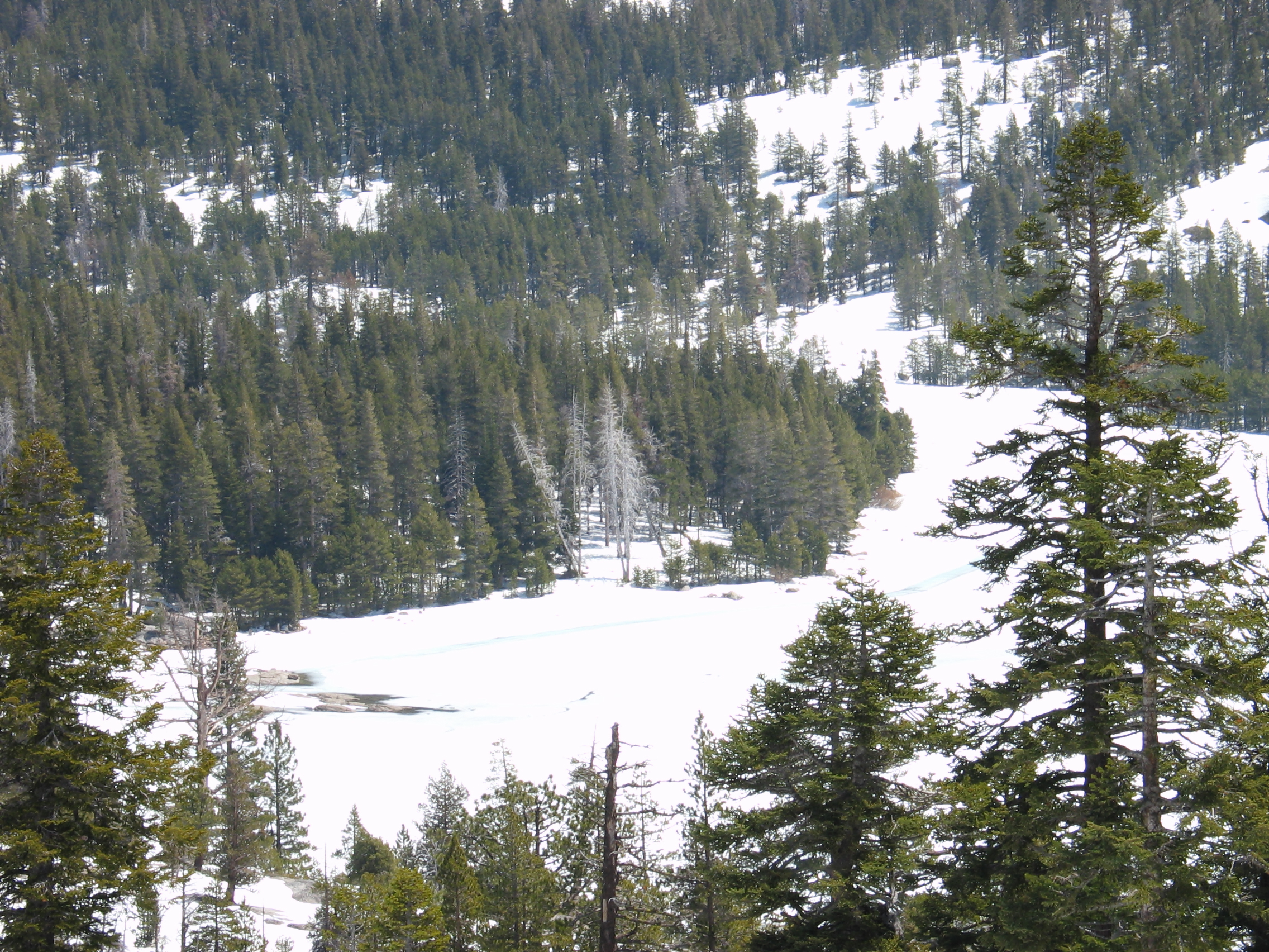 #103_Still Winter