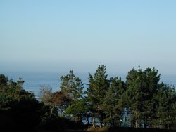 #112_Trees above Buckhorn