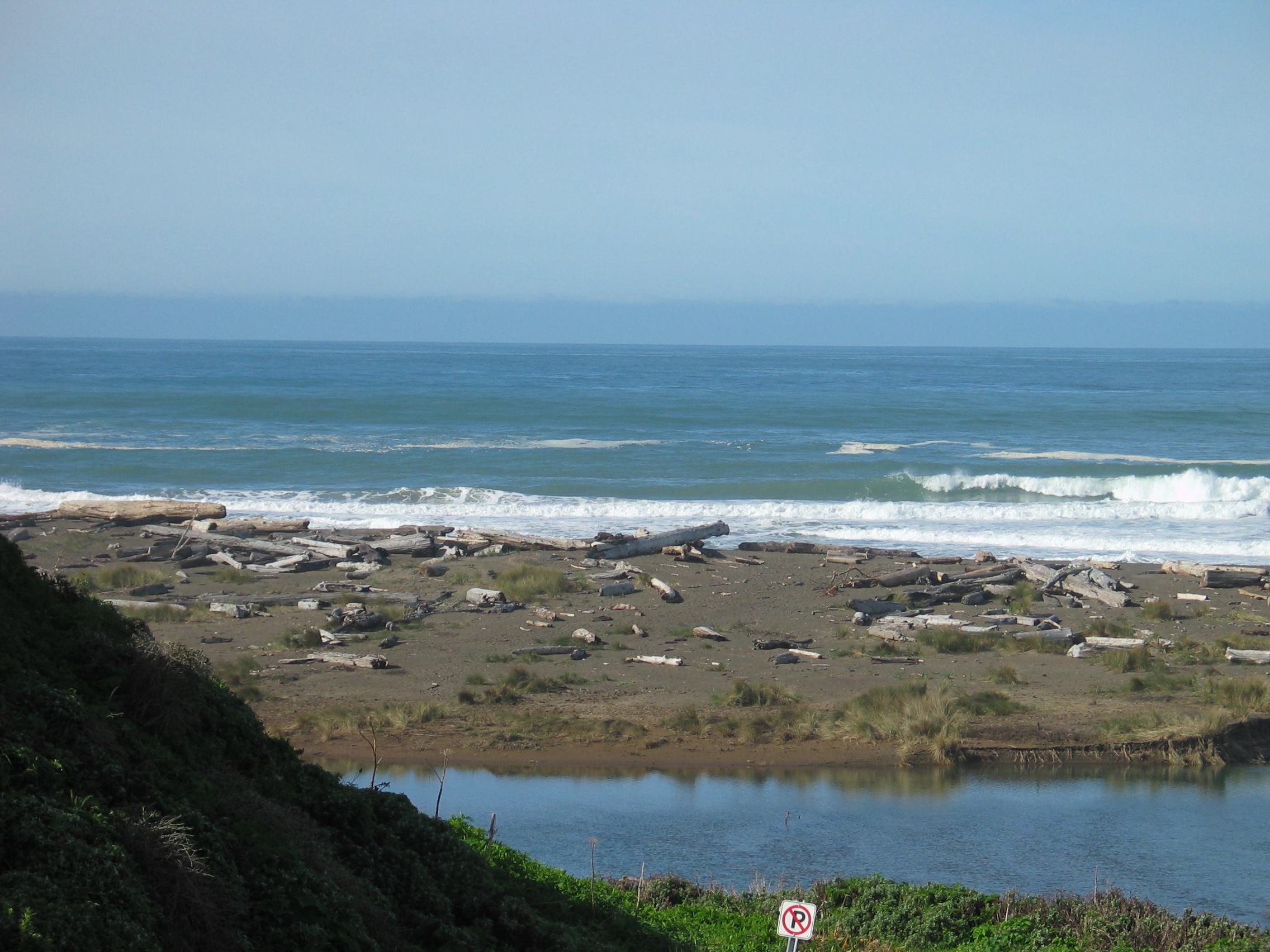 135_Look_How_Large_the_Driftwood_is._There_are_Whole_Trees