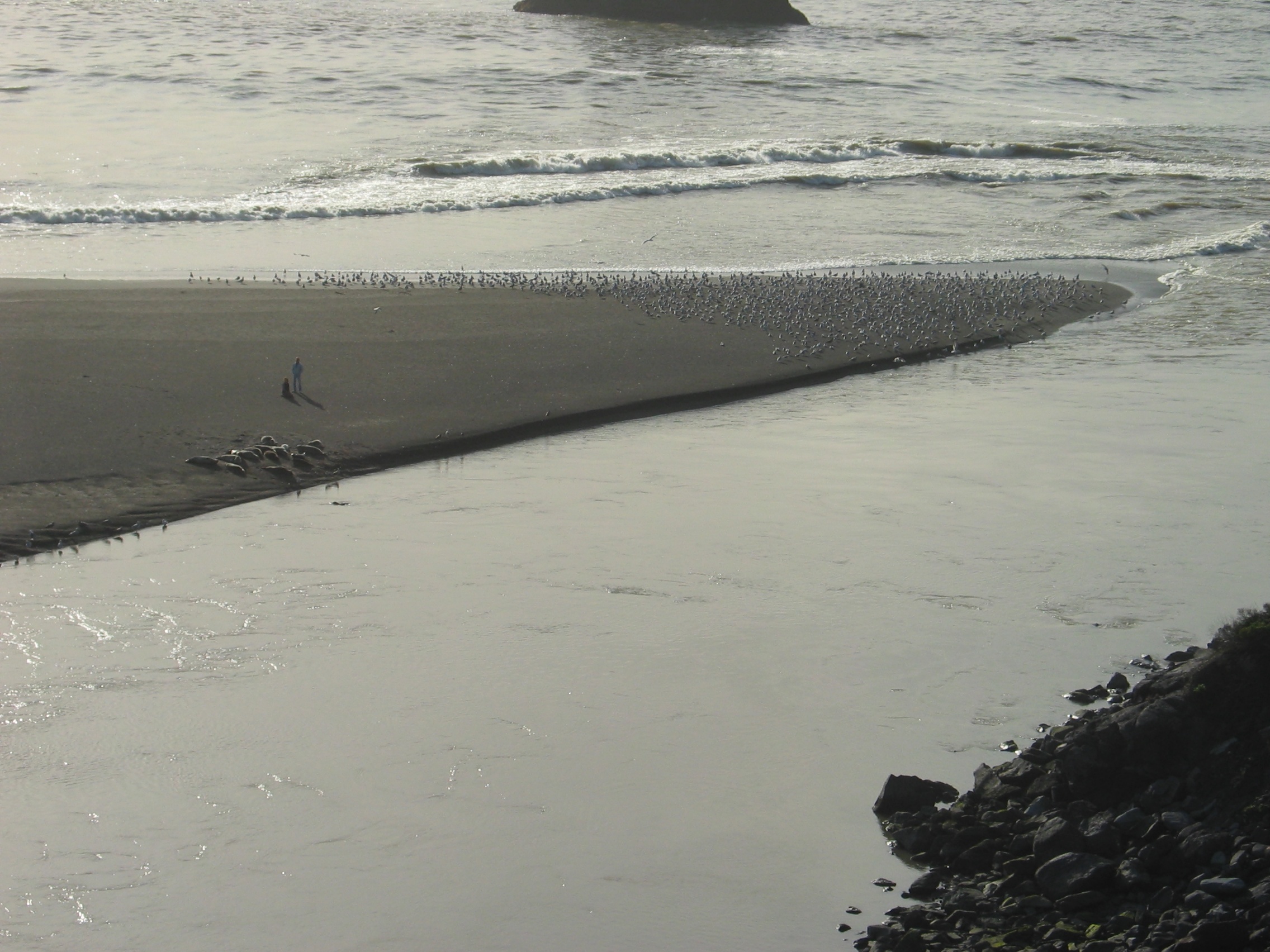 136_Russian_River_Meets_Pacific_Ocean