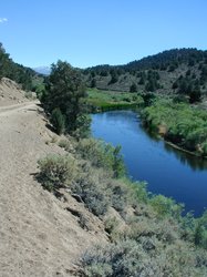 #100_South of Bridgeport, along Walker River