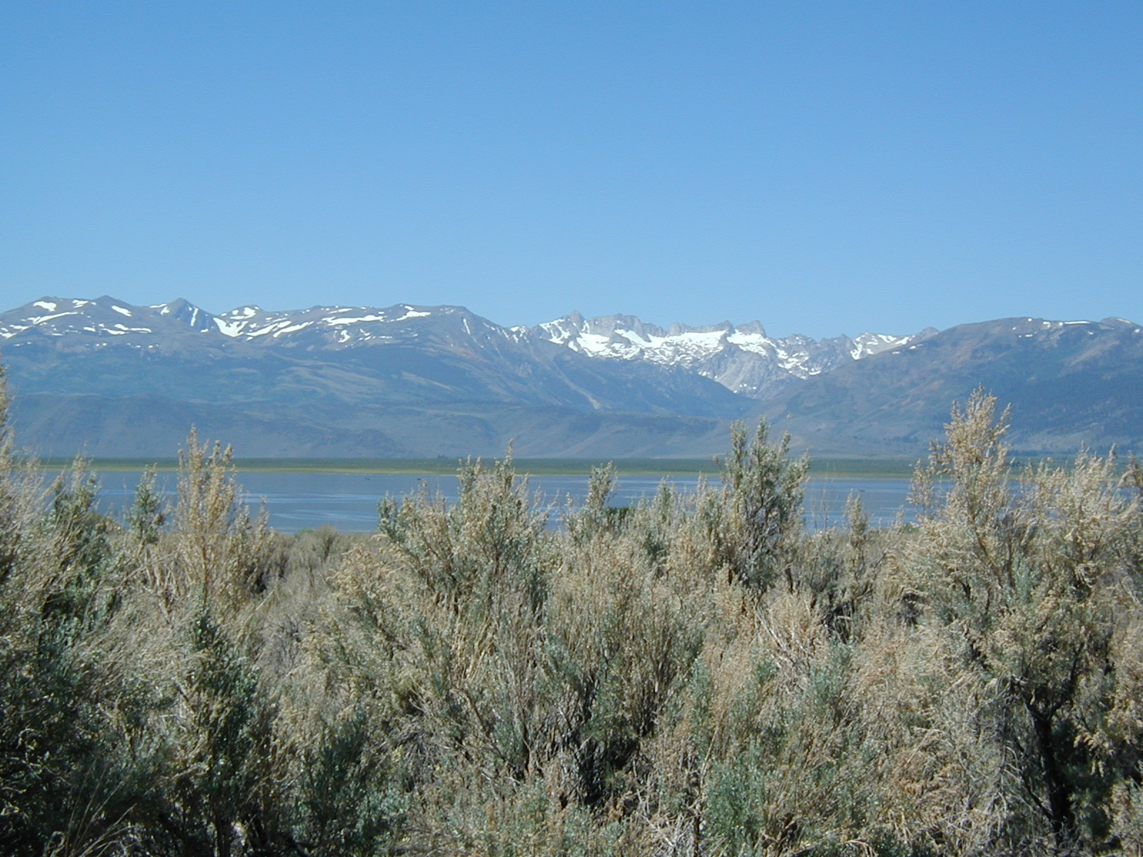 #102_Bridgeport Lake, the Crags behind