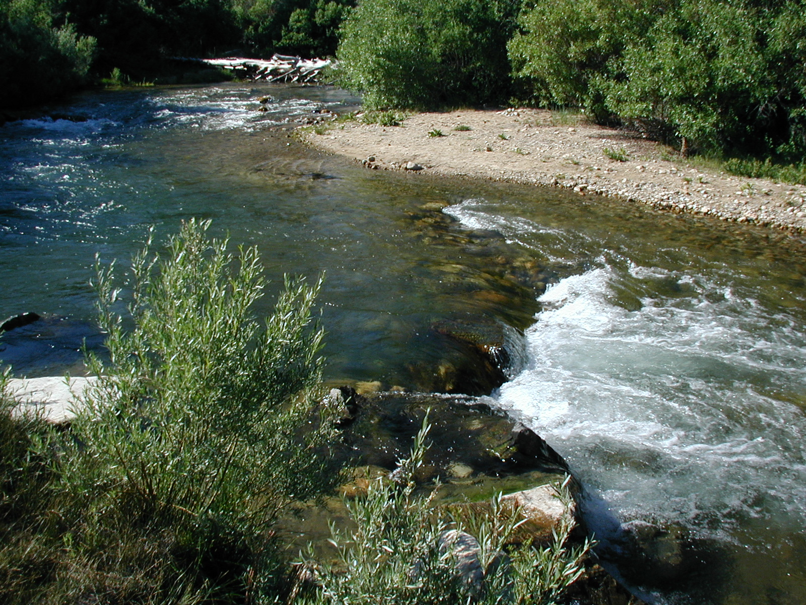 #112_Robson Creek Curve