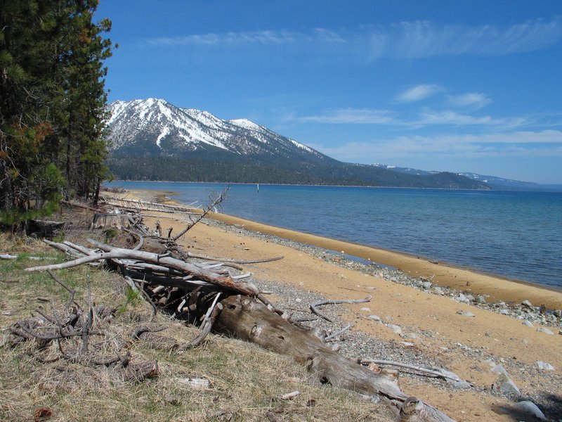 #111_Tahoe Beach.jpg
