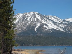 #112_Looking North