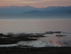#129_Misty Sunset II