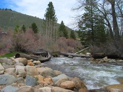 #137_Buckeye Creek
