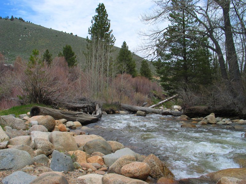 #137_Buckeye Creek.jpg