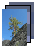 Ziggo.album_icon