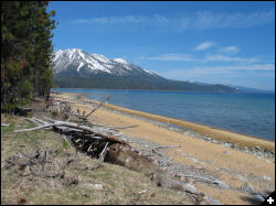 [Tahoe Beach]