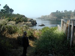 Mendocino, August 2002