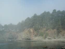 #102_North Buckhorn Cove