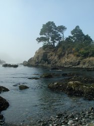 #103_Sometimes an island