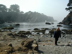 #106_Buckhorn Cove, south of trail