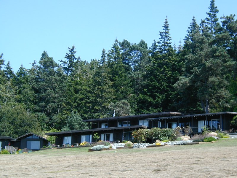 #104_Nestled in trees.jpg