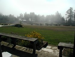 #116_Clearing mist