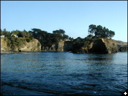 [Buckhorn Cove, looking south ]