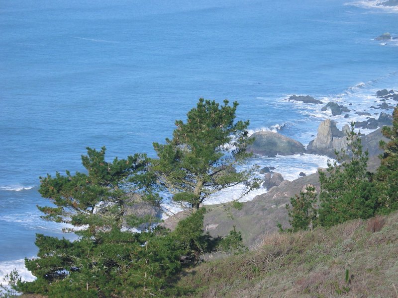 101_Marin_Coast.jpg