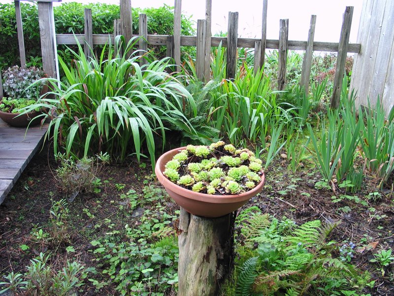 114_SeaEscape_Ocean_View_Garden.jpg