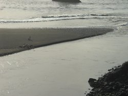 136_Russian_River_Meets_Pacific_Ocean