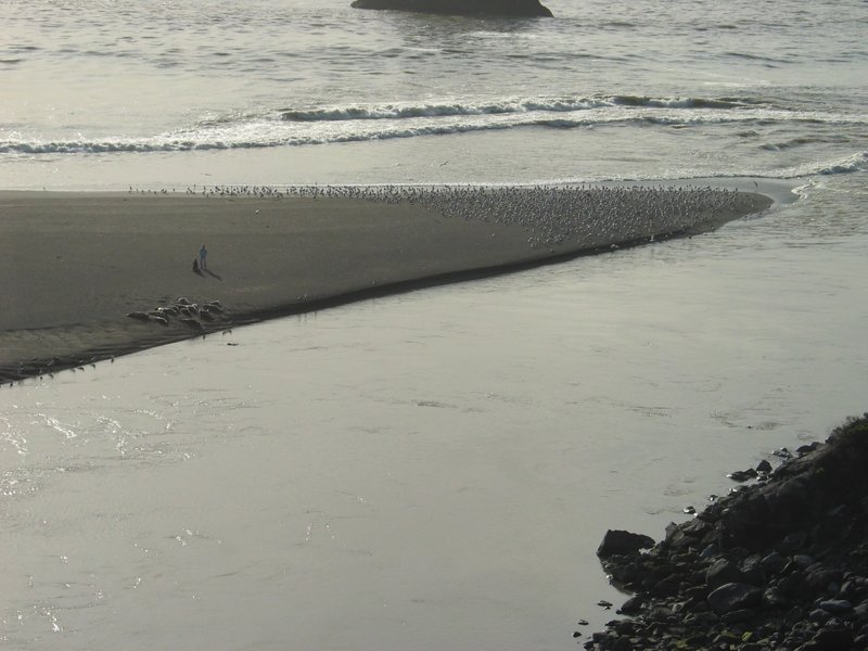 136_Russian_River_Meets_Pacific_Ocean.jpg