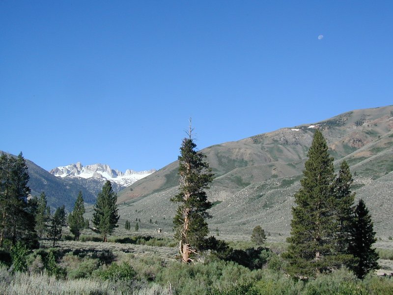 #104_Crags and Moon.jpg