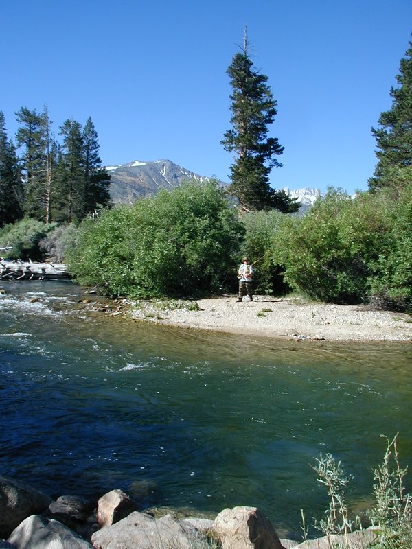 #115_Fisherman 1.jpg