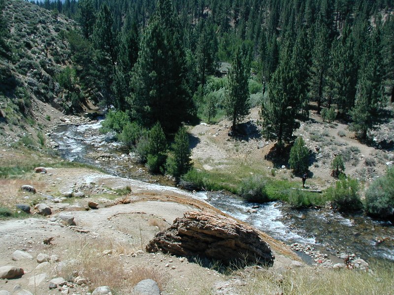 #123_Looking Down Towards Buckey Creek & Hot Springs.jpg