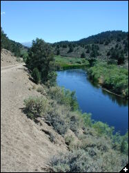 [South of Bridgeport, along Walker River]