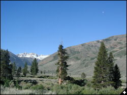 [Crags and Moon]