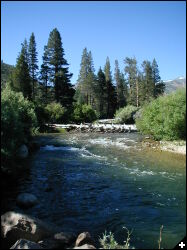 [Robson Creek Coming Towards Camp]