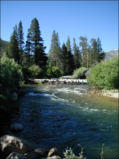 [#107_Robson Creek Coming Towards Camp.jpg]