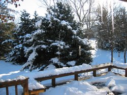 IMG_7038