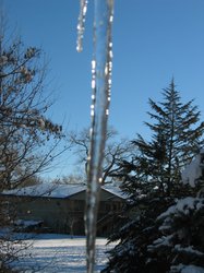 IMG_7047