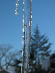 IMG_7049
