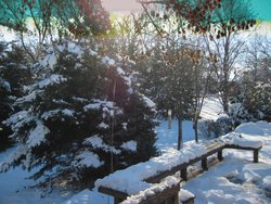 IMG_7051