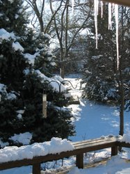 IMG_7052