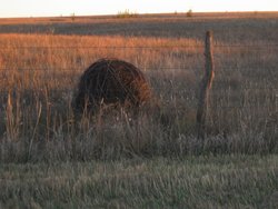 IMG_6780