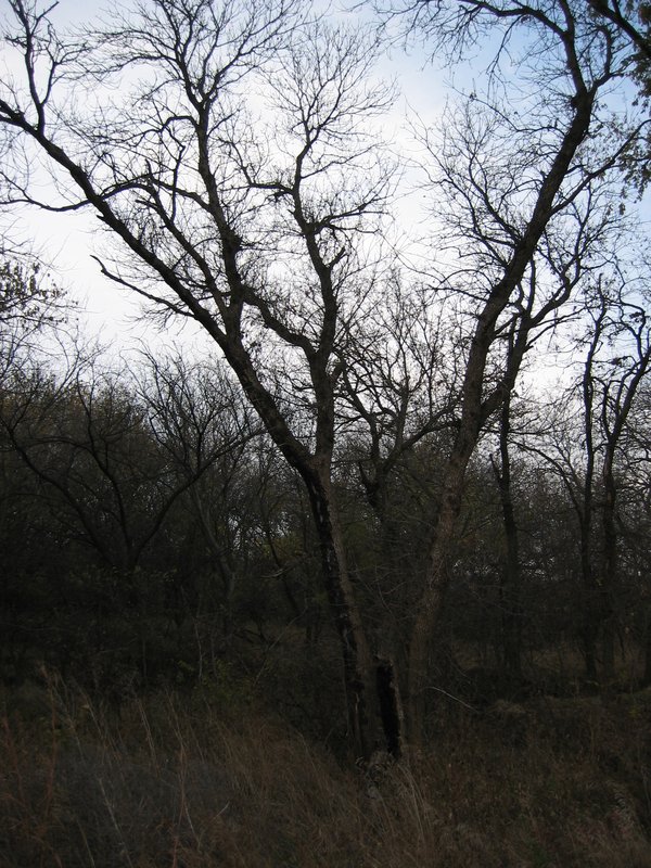 IMG_6855.JPG