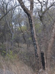 IMG_6857