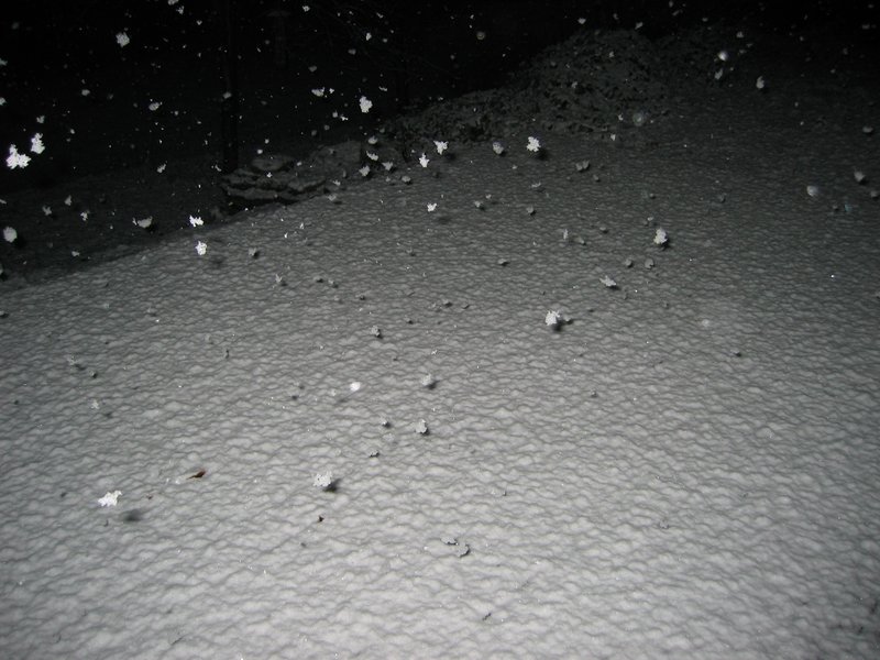 IMG_6869.JPG
